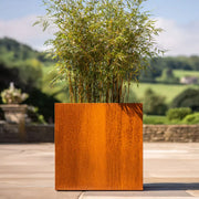 Square Corten steel metal planter with bamboo plant on a patio
